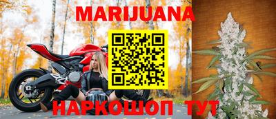сатива Ставрополь