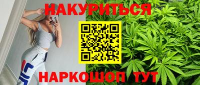 сатива Ставрополь