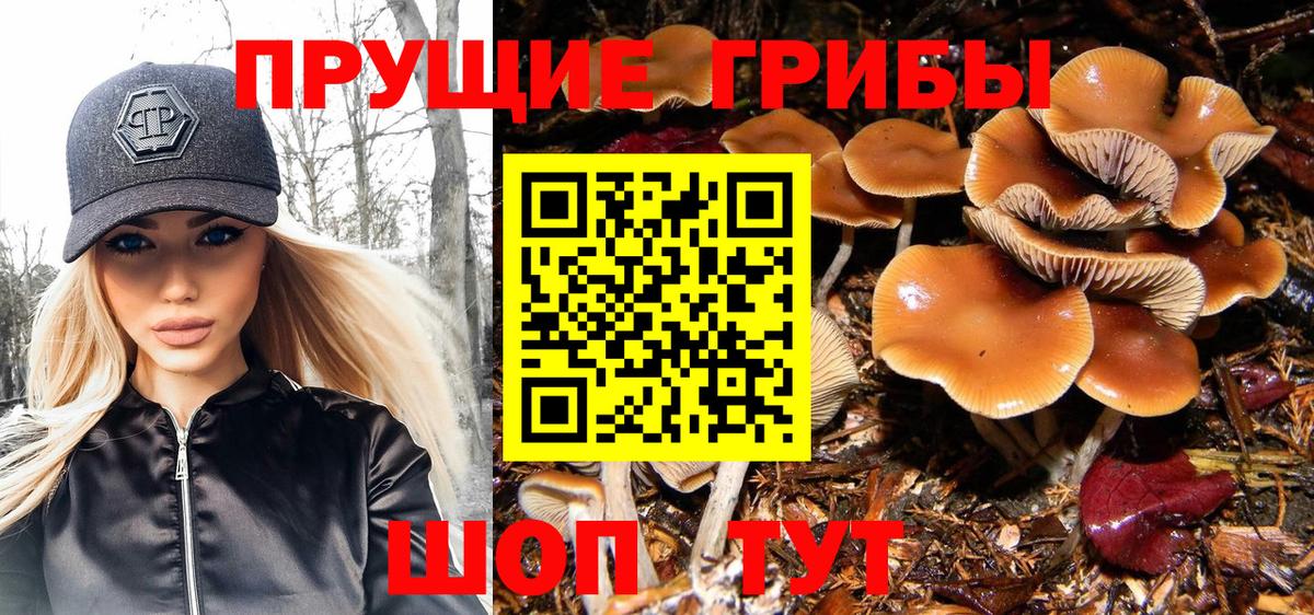 Псилоцибиновые грибы MAGIC MUSHROOMS Нижнекамск